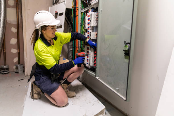 Best Electric Panel Repair  in Ogden Dunes, IN
