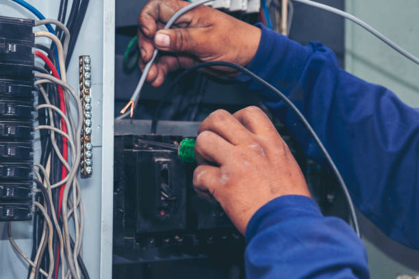 Best Ceiling Fan Installation Electrician  in Ogden Dunes, IN